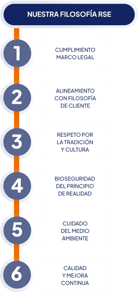 Grafico complementario en seccion responsabilidad social